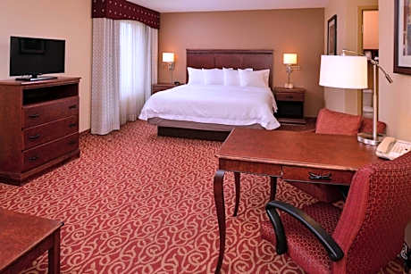 1 King Studio Suite Microwv/Fridge/Wet Bar Ns