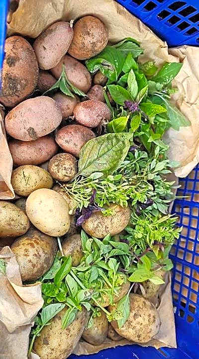 Auberge Saint Martin