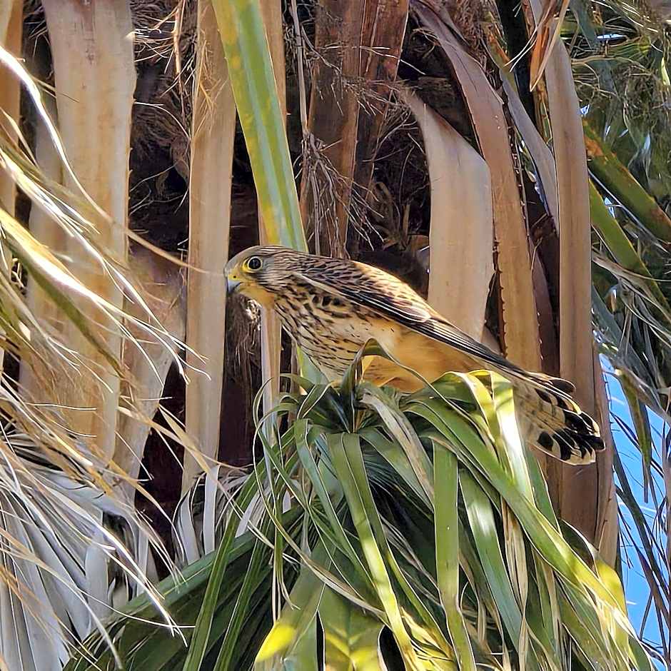 Alghero in bicicletta