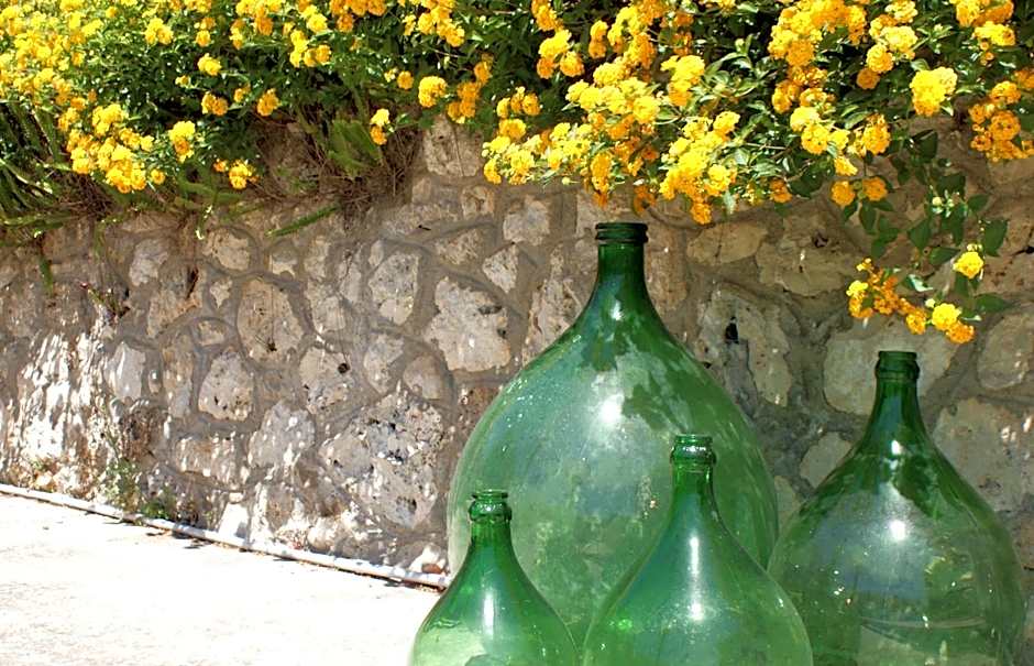 Residence Conchiglia San Giovanni