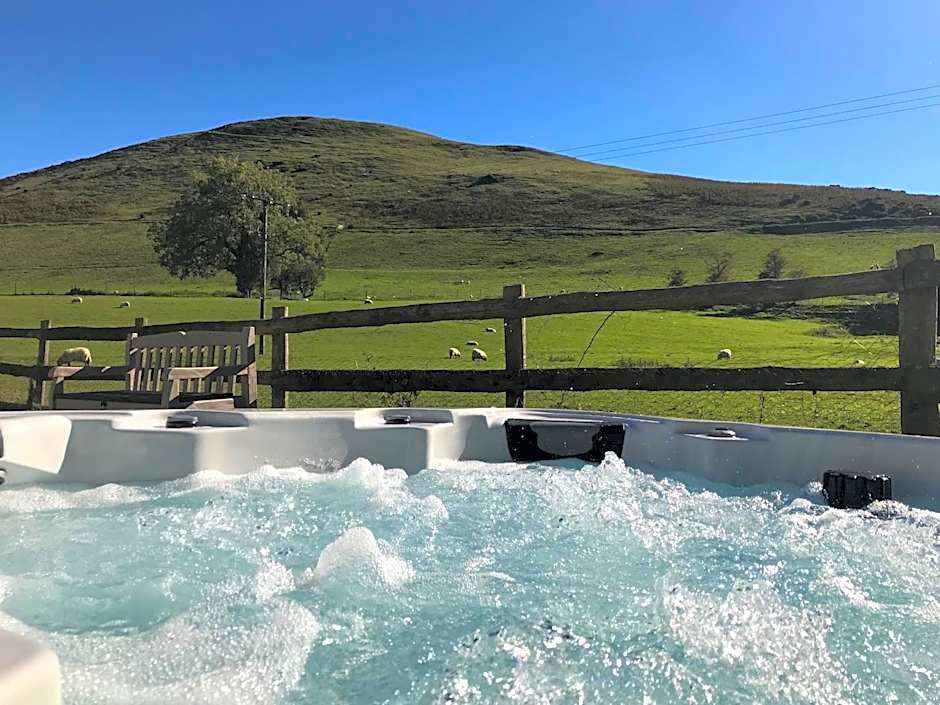 The Hand at Llanarmon