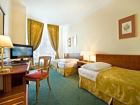 Economy Twin Room