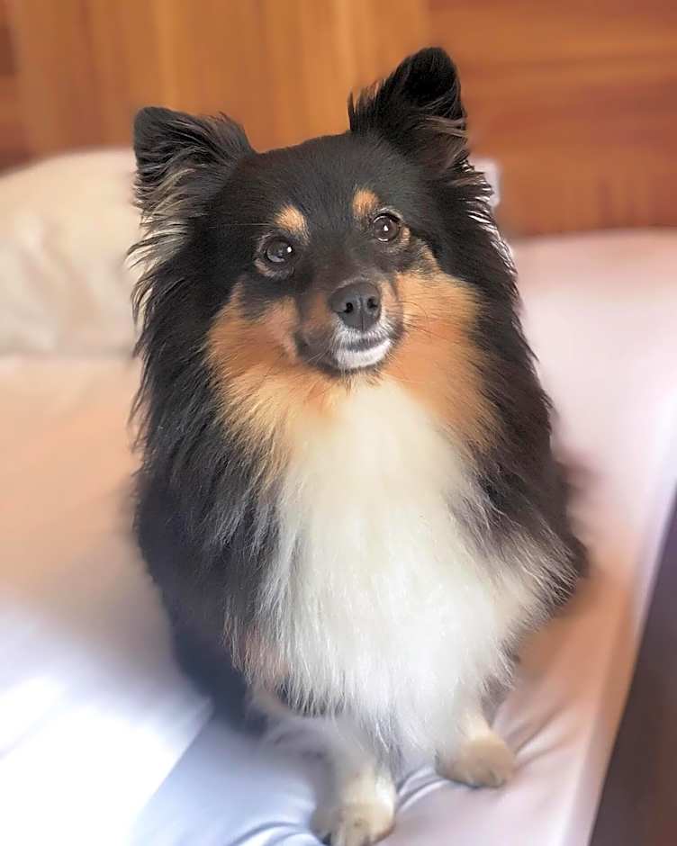 Comfort Hotel Eskilstuna