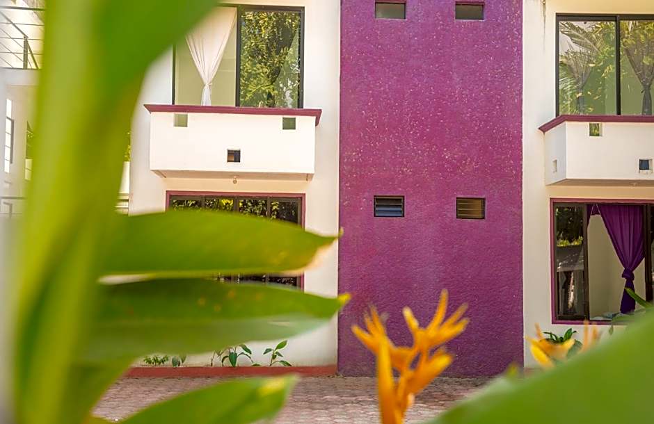 Hotel Palmarito