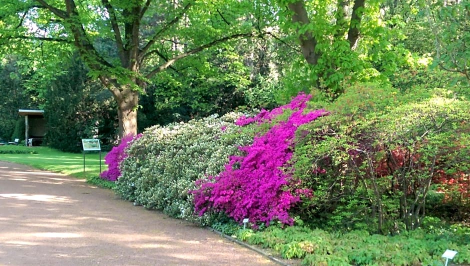 Congress Hotel am Stadtpark