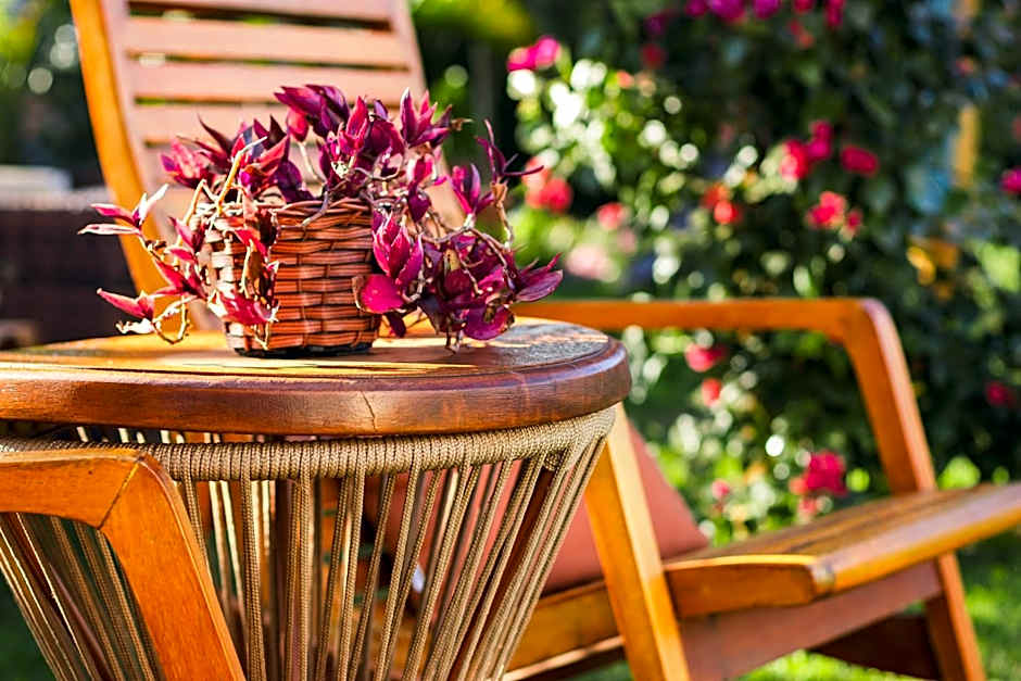 Pousada Viver Capitólio