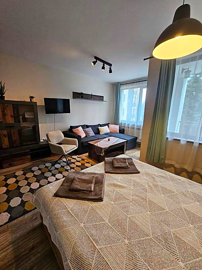 Bright & Cozy Studio E27 in Borovets Gardens