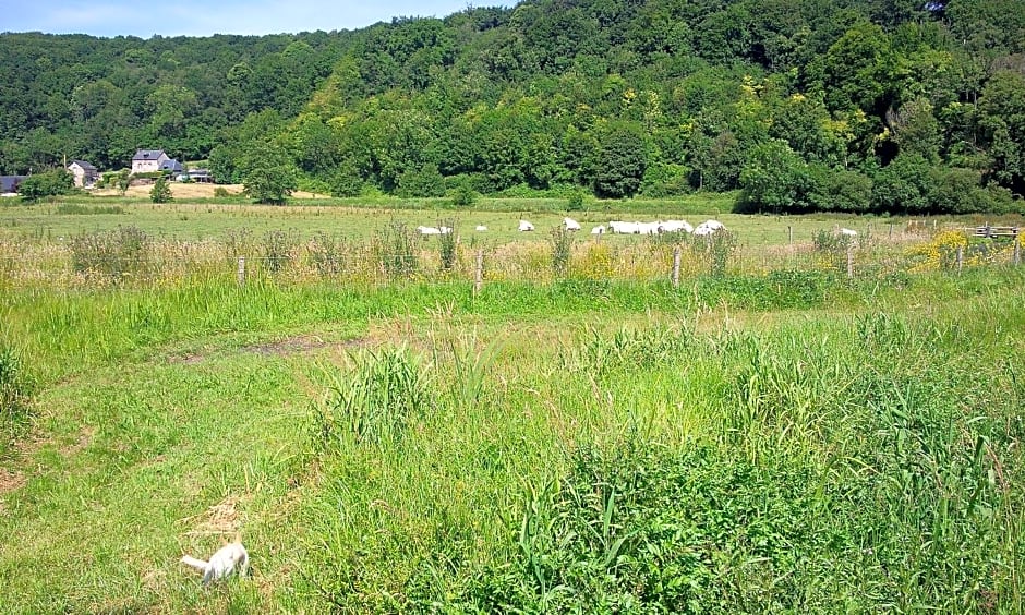 Cabane Perchée dans la prairie de l'ancien moulin