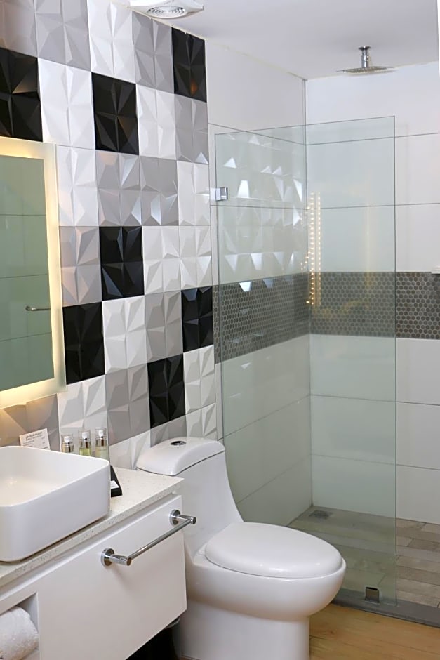 FCH Hotel Providencia - Exclusive For Adults