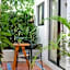 Maison Bacalar