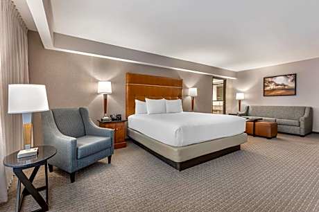 Deluxe King Room with Sofa Bed
