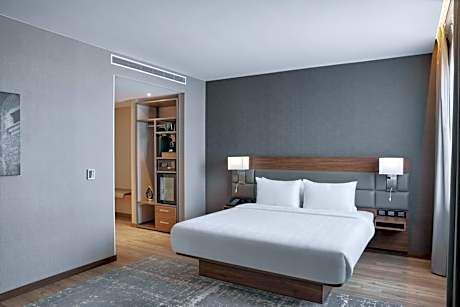 Large King Room with City View