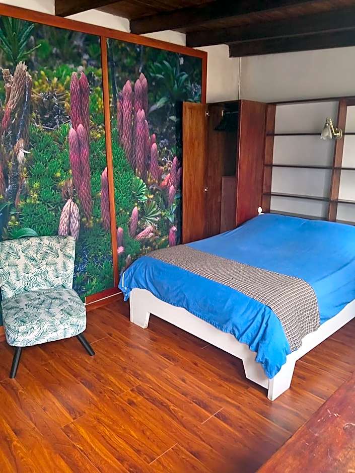 Hostal Posada del Maple