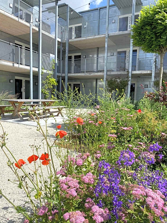 First Hotel Kokoloko