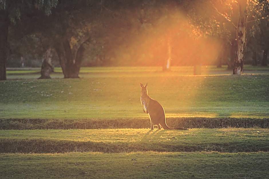 Renmark Country Club