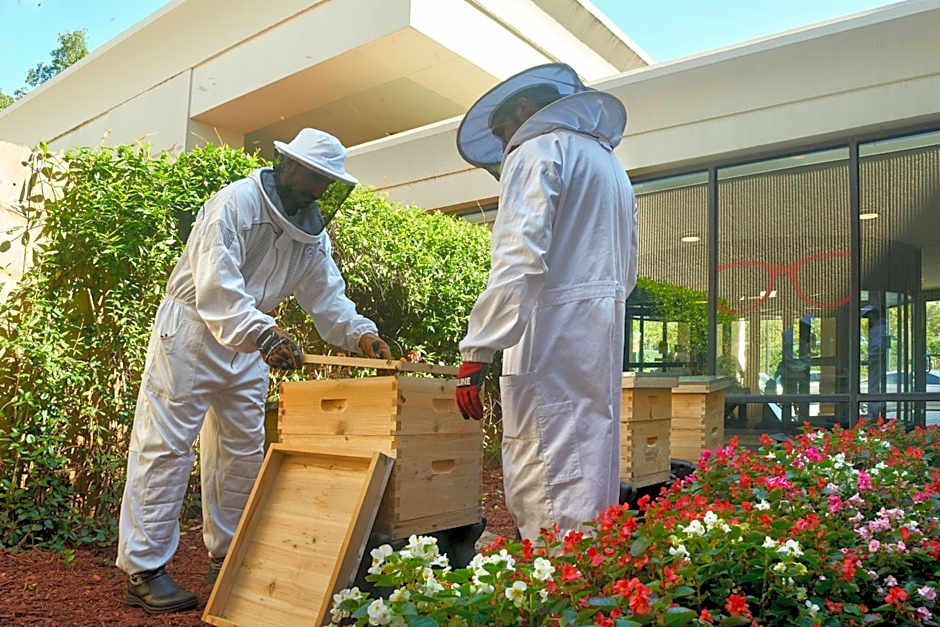 Atlanta Airport Marriott