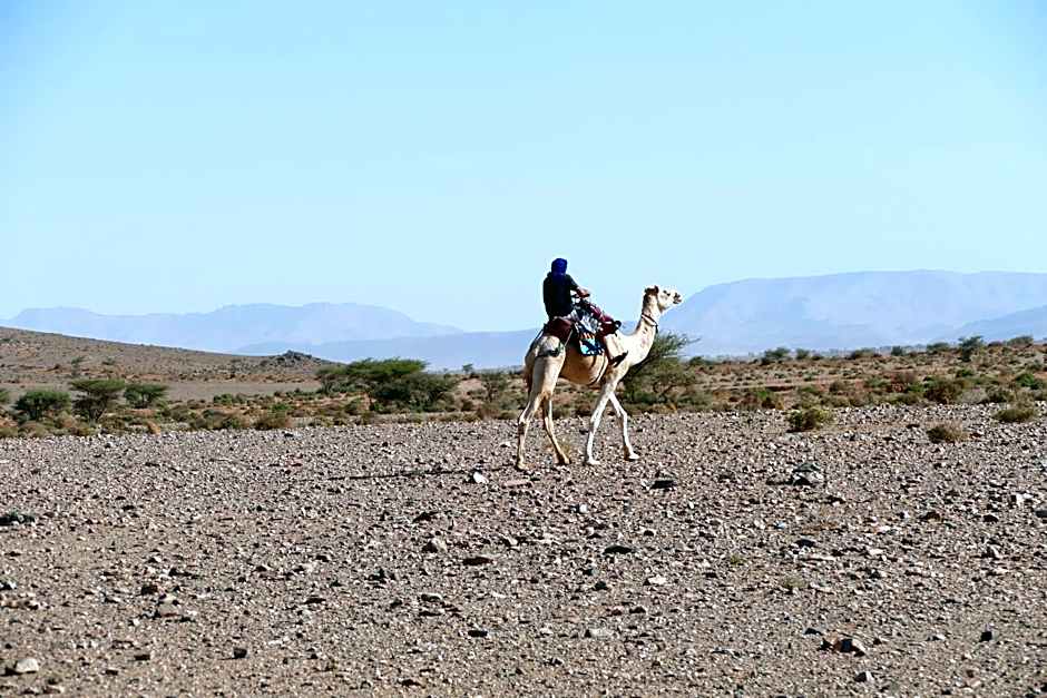 Auberge Aain Nakhla