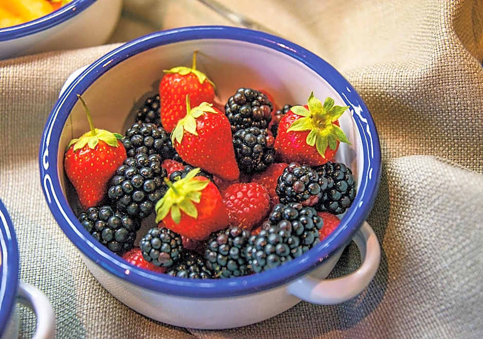 Ski-IN Ski-OUT Hotel Sonnleiten