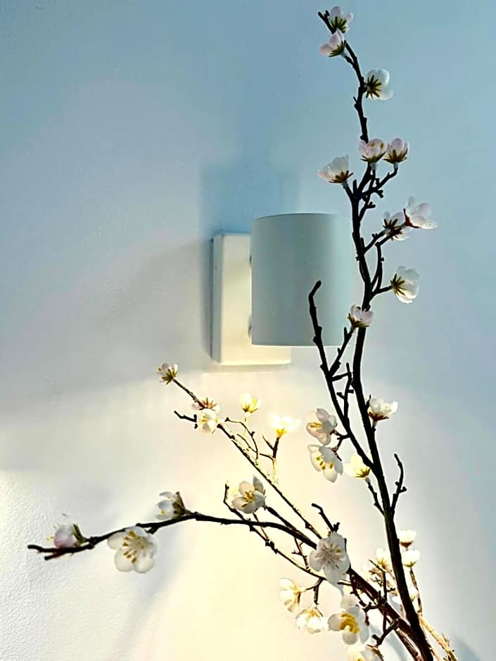 Guest House Espinardo Murcia Casa Universitaria