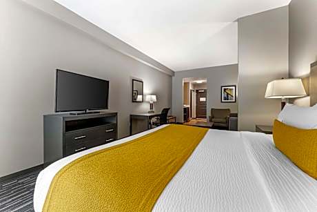 Suite-1 King Bed, Non-Smoking, Pillowtop Bed, Microwave And Refrigerator, Shower Only, Sofabed, Full