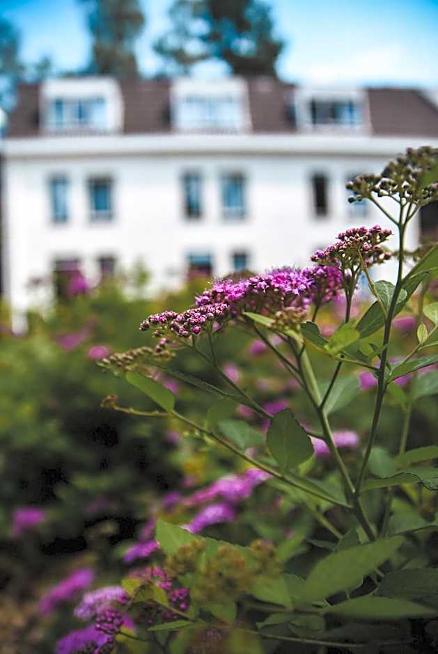 Witte Berken Natuurhotel