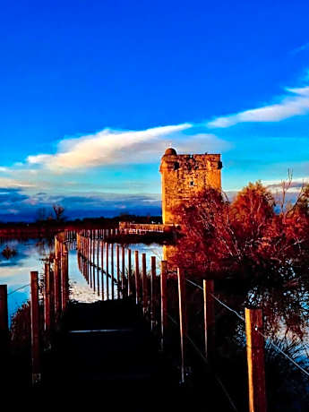 Two-Bedroom Family Apartment