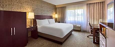 King Room with Roll-In Shower - Mobility Access/Non-Smoking
