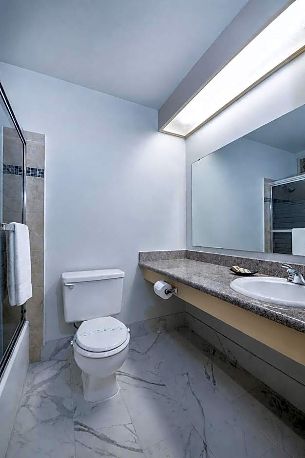 Hotel International