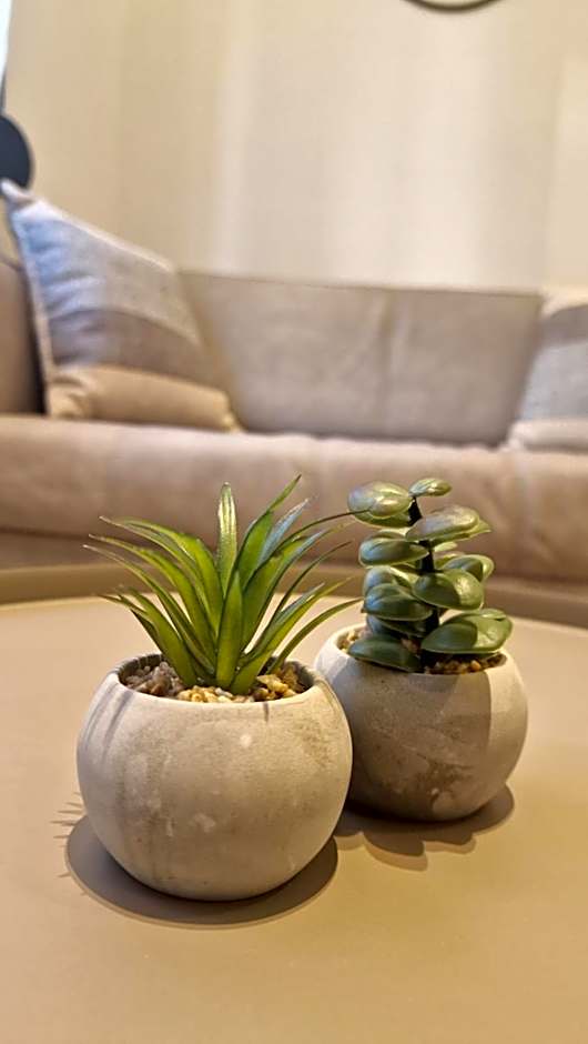 MELIGEO Suites Center of IOANNINA