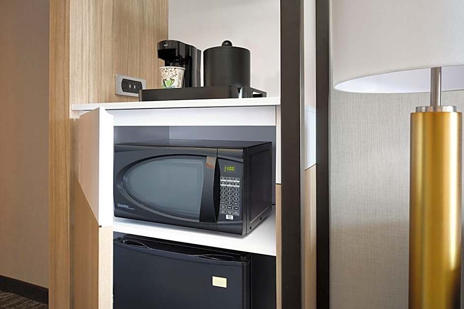 SpringHill Suites by Marriott Minneapolis-St. Paul Airport/Mall of America