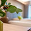 eee Hotel Eberstalzell