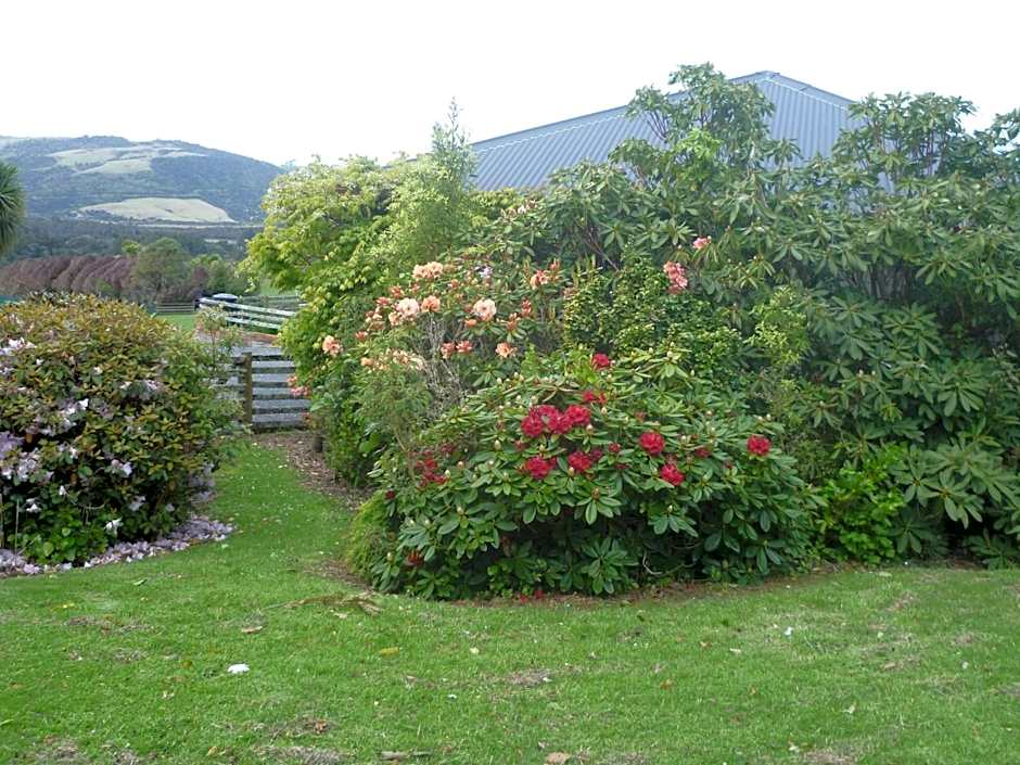 Hilltop Accommodation Catlins