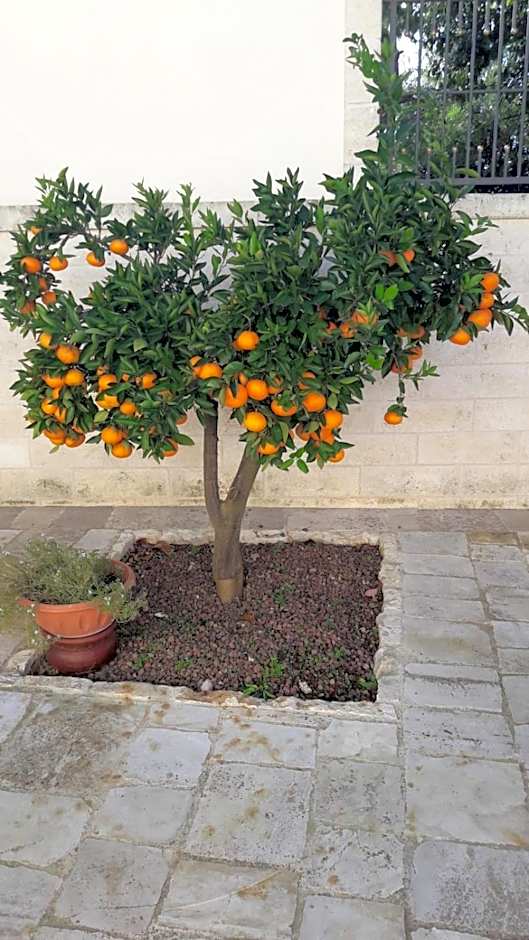 B&B Il Mulino del Monastero