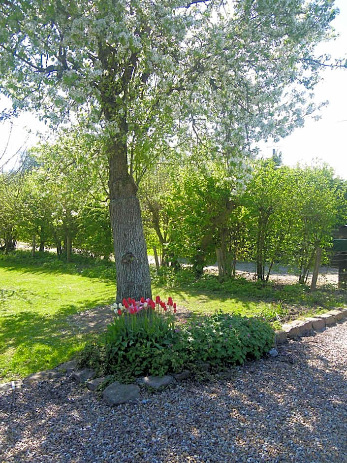 La Griotte & Spa&Piscine