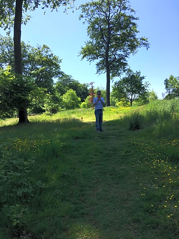 Wynberg House Bed & Breakfast Swansea