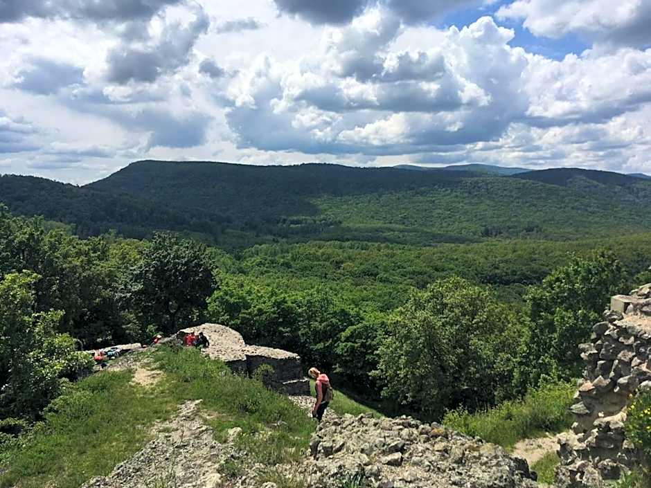 MiLLER's Inn Panzió és Étterem