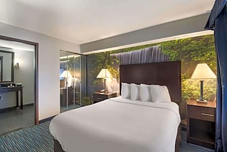 Clarion Pointe Downtown