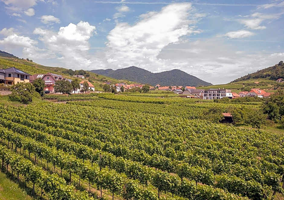 STIERSCHNEIDER'S Weinhotel Wachau & Wiazhaus