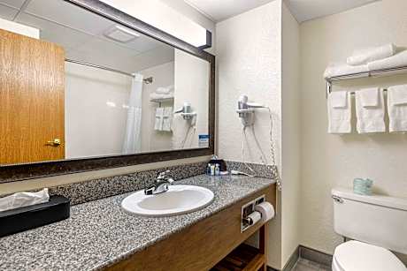 1 King Bed, Nonsmoking