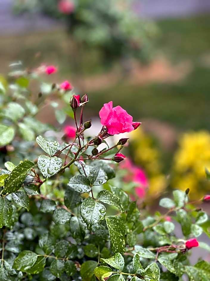 YOUR HOUSE Apart Otel