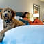 Hotel Saint Clair - Magnificent Mile