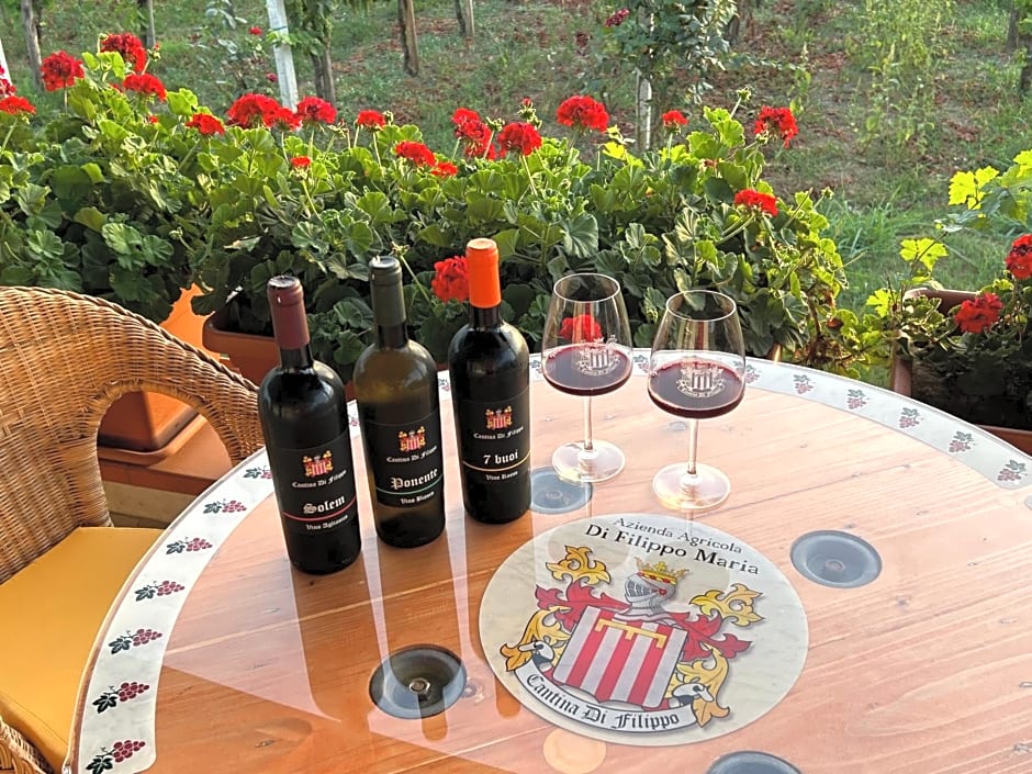 B & B Vigna Di Filippo - Paestum