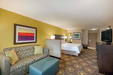 1 KING HEARING ACCESSIBLE W/SOFABED NOSMOK