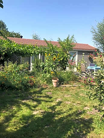 Rosa's zonnige huisje bij duinen bos en strand