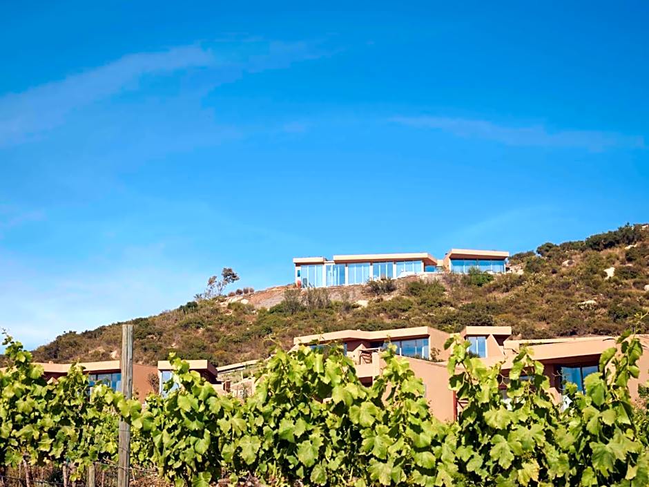 Banyan Tree Veya, Valle de Guadalupe