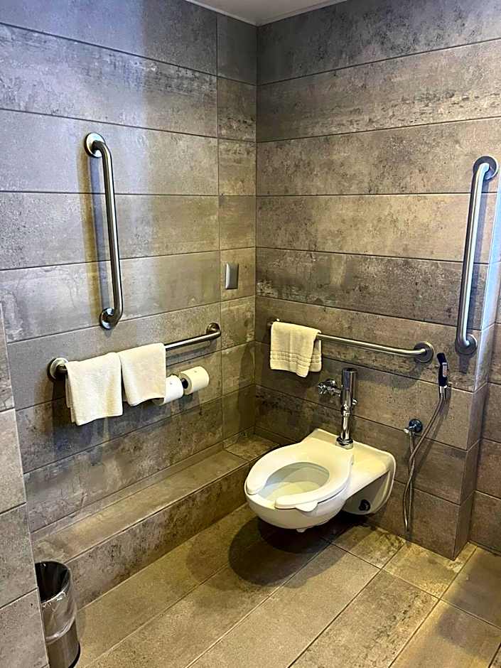 Novotel Santiago Providencia