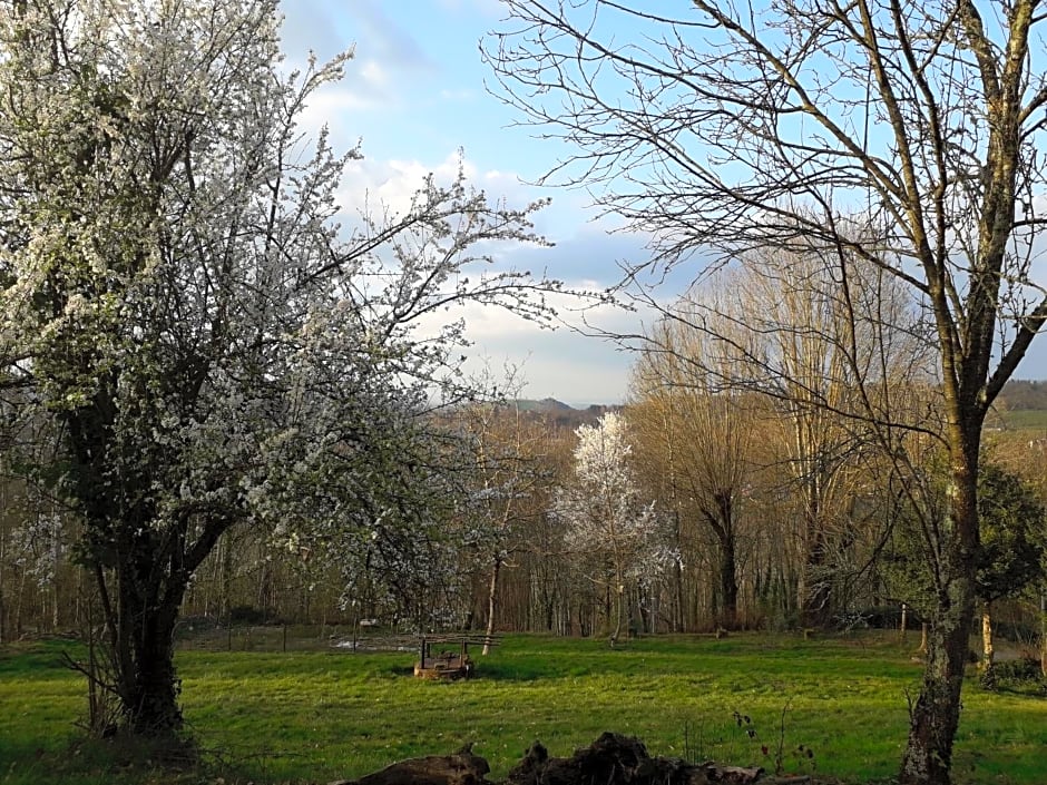 DUC MANOIR Chambres d'hôtes