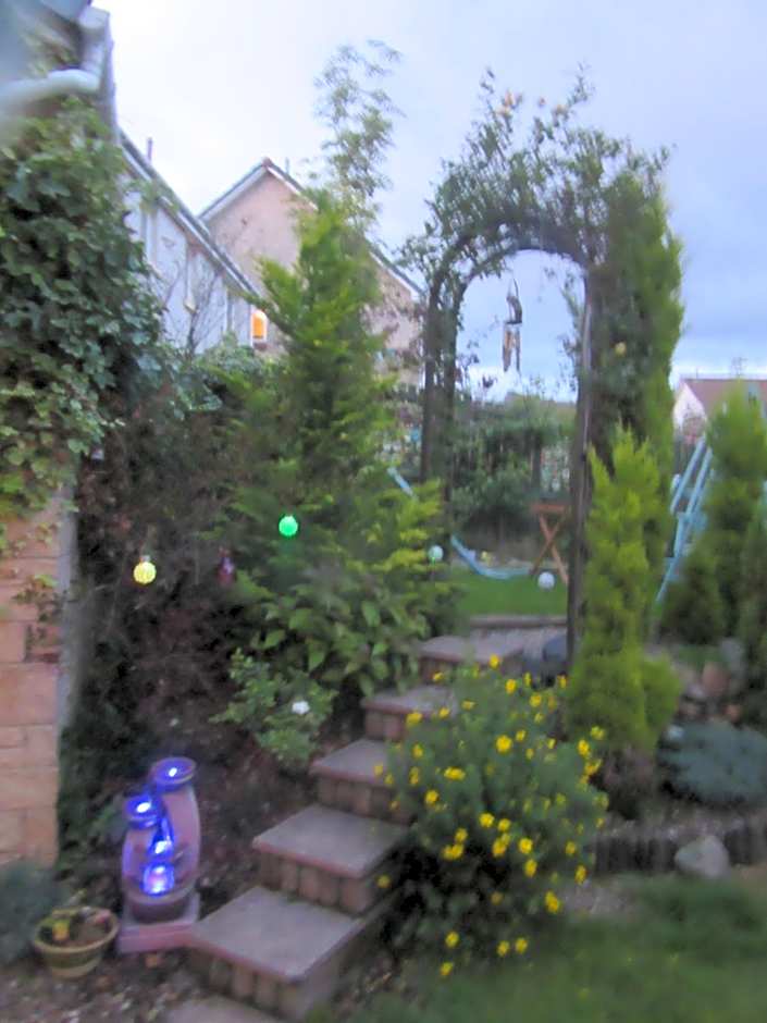 Homely Haven, Dunfermline