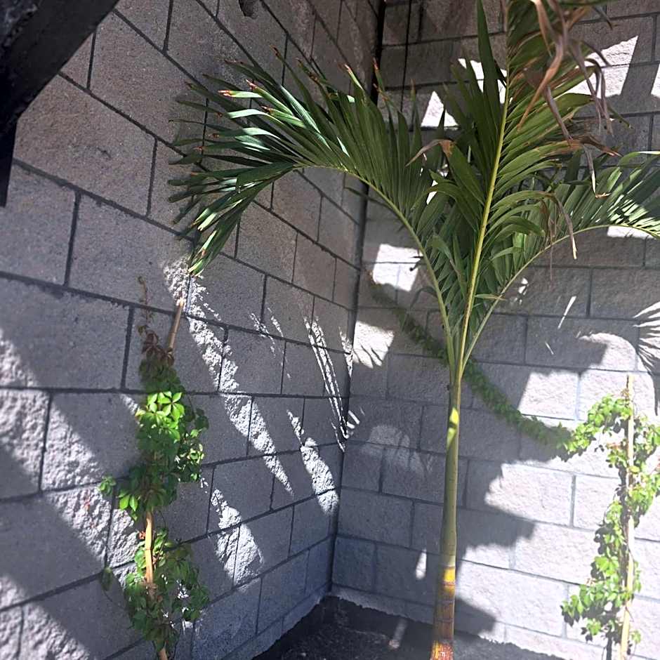 Playas Hotel Suites