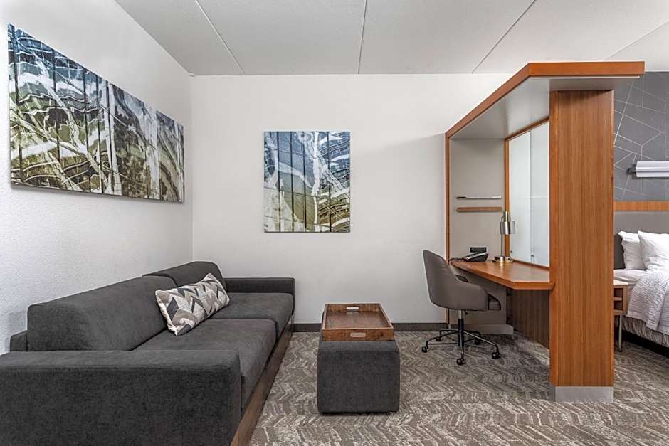SpringHill Suites by Marriott Chattanooga Downtown/Cameron Harbor